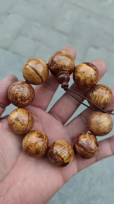 大尺寸麻梨疙瘩金线手串