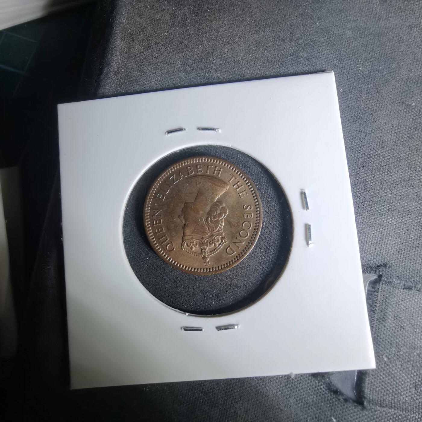 沼泽如烟--第1004场