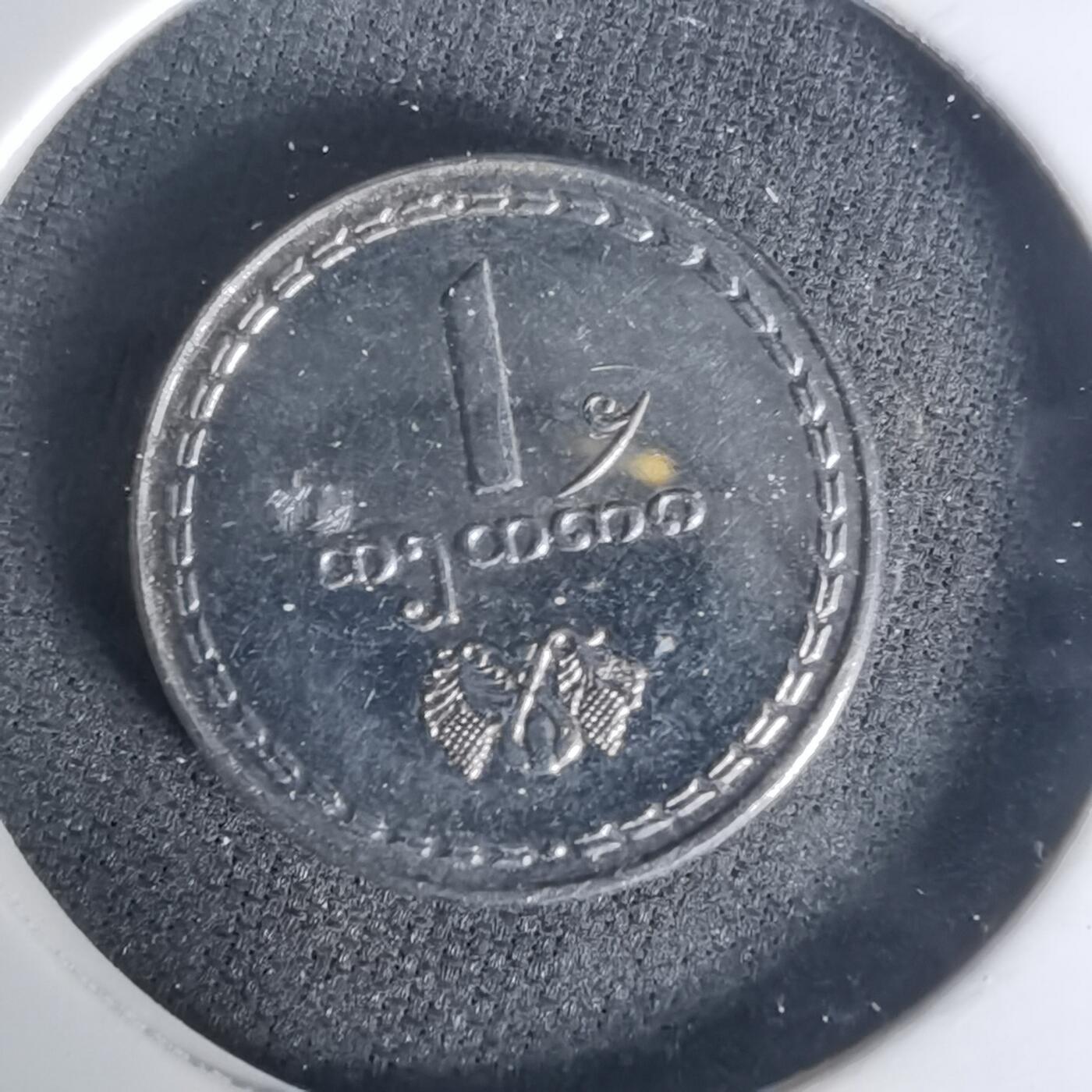 沼泽如烟--第1005场