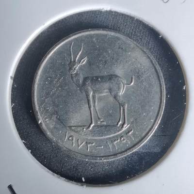 沼泽如烟--第1005场 - 阿联酋