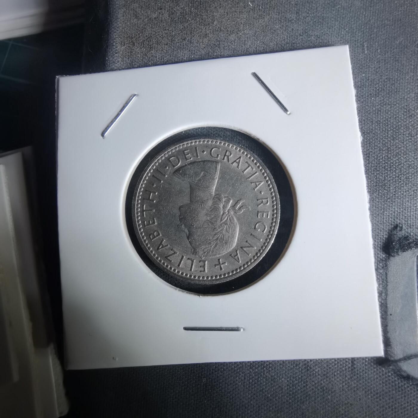 沼泽如烟--第1005场