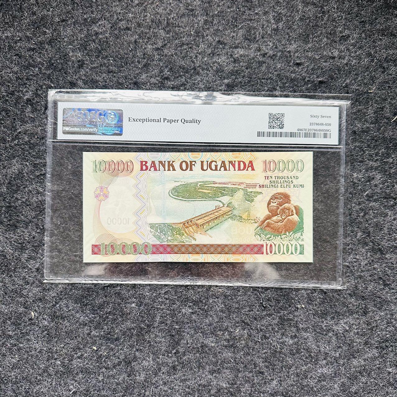 🇺🇳¥ ¥2026🐎马年纸钞评级币