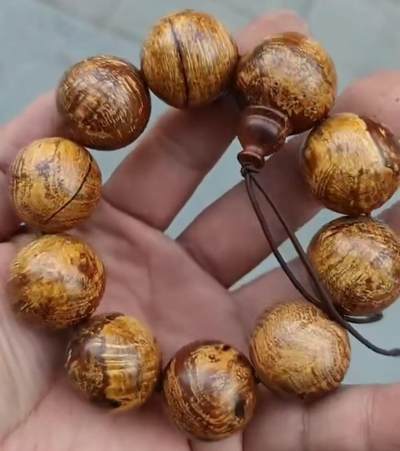 大尺寸麻梨疙瘩金线手串 - 大尺寸麻梨疙瘩金线手串