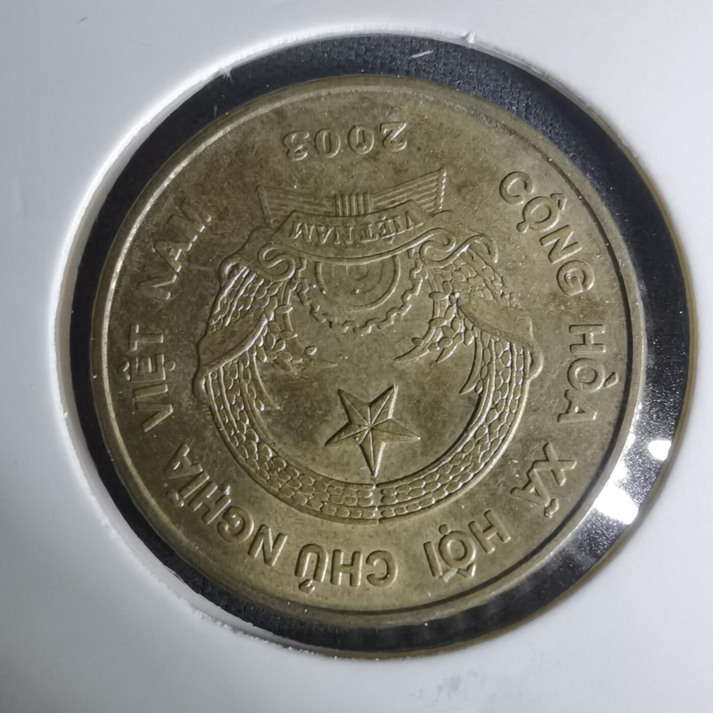 沼泽如烟--第1004场