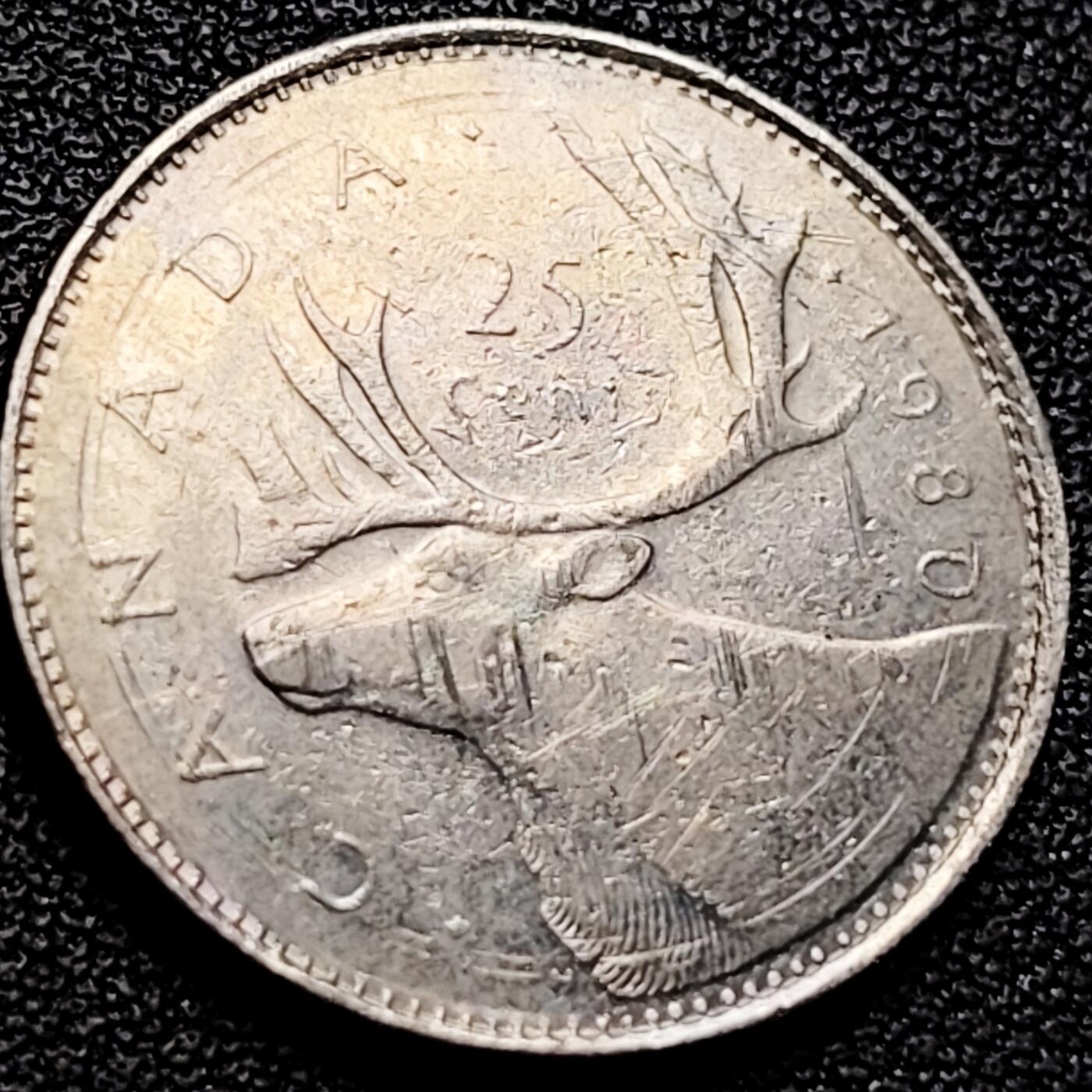 泉币菌-第200场- 新年快乐 新年第8场 本场拍品多 请提前出价（正月十五统一发货） 。