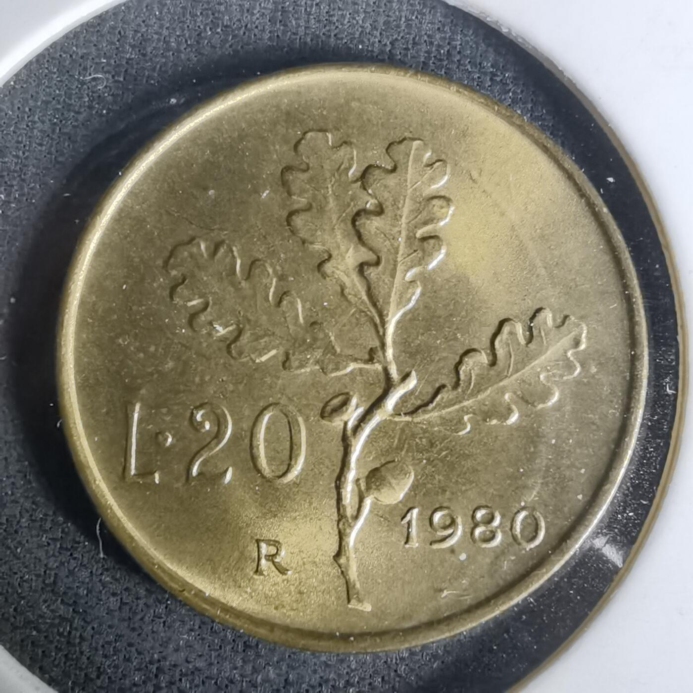 沼泽如烟--第1004场