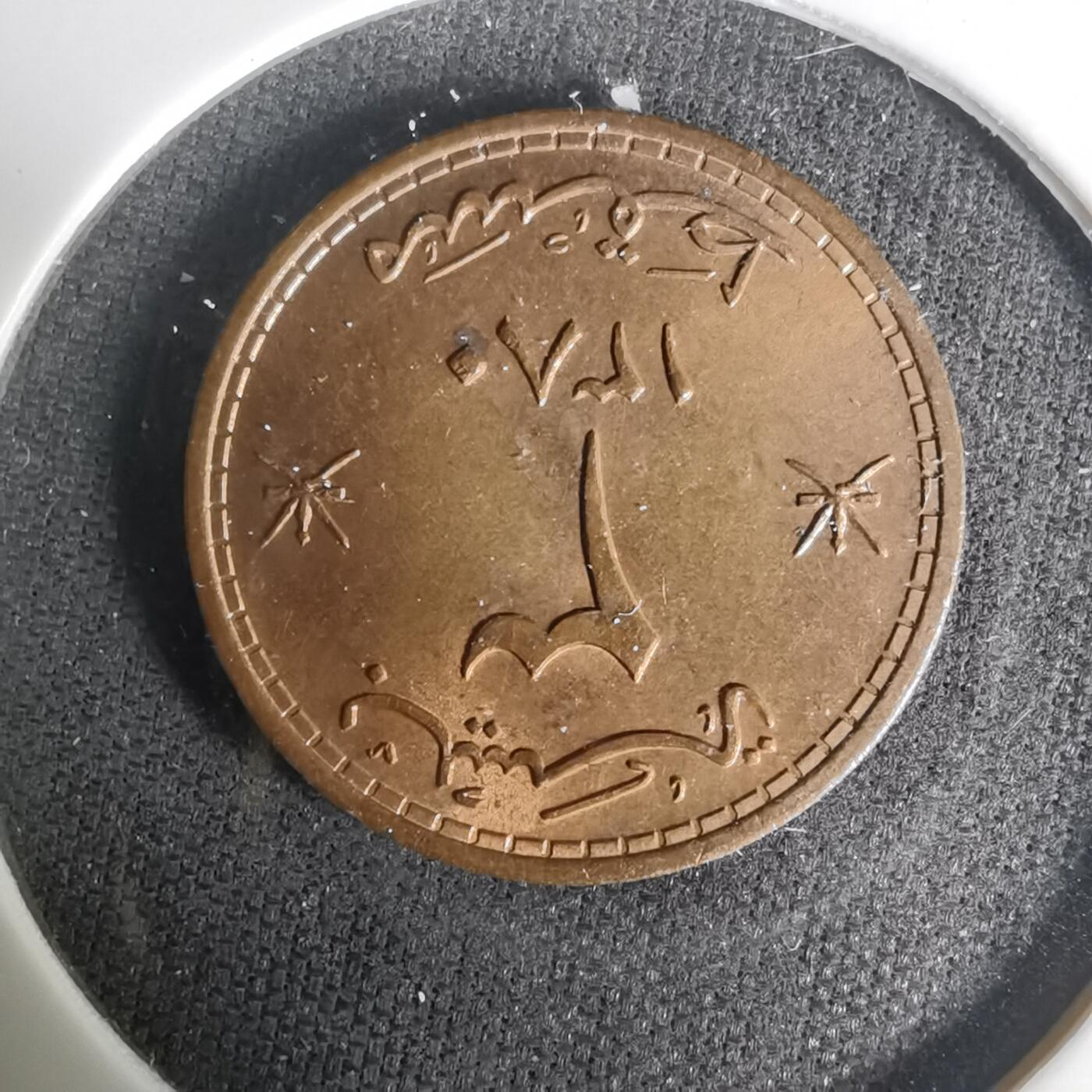 沼泽如烟--第1004场