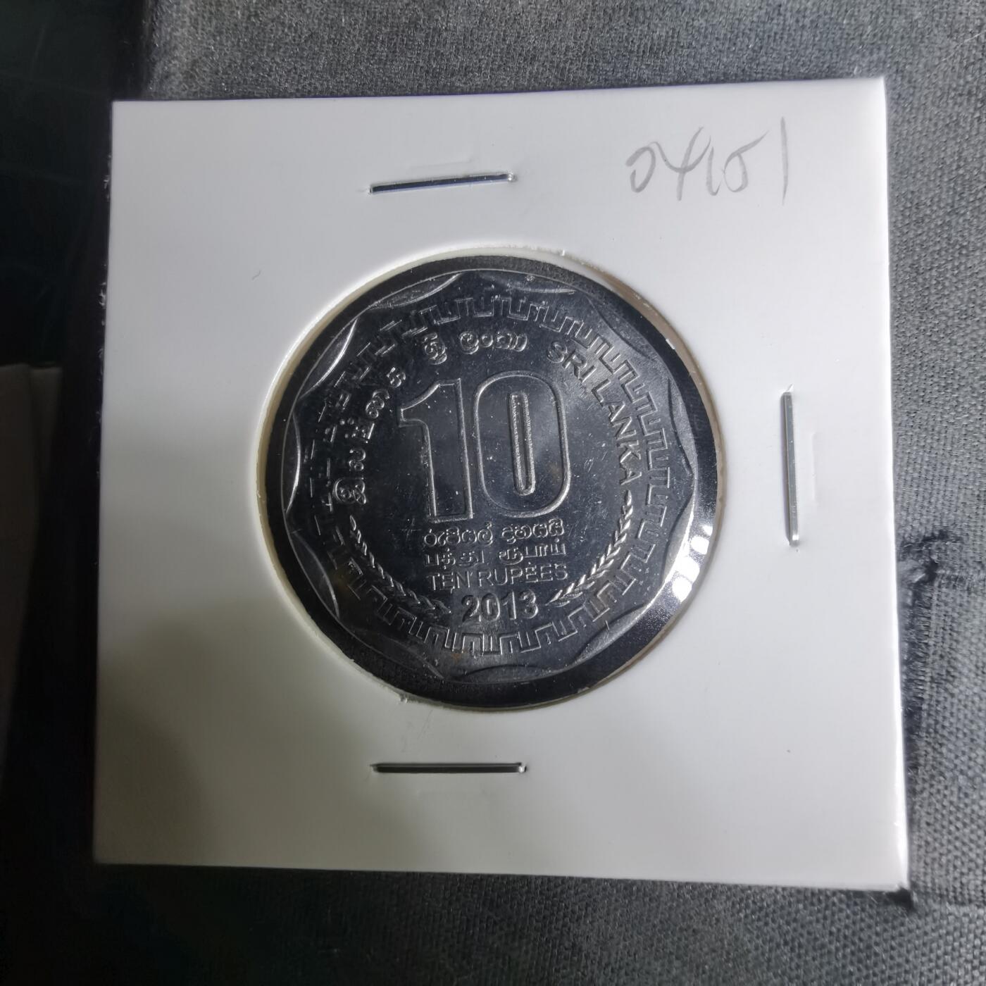 沼泽如烟--第1004场