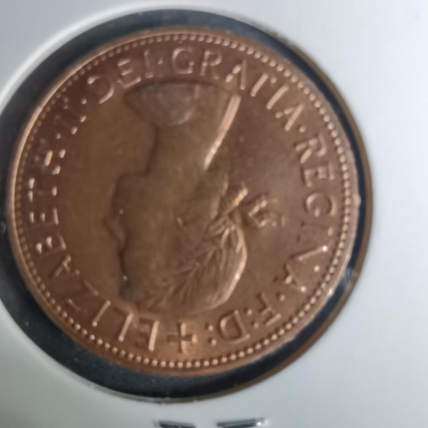 沼泽如烟--第1004场