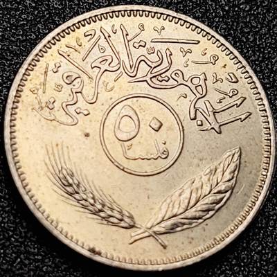 泉币菌-第200场- 新年快乐 新年第8场 本场拍品多 请提前出价（正月十五统一发货） - 原光极美 伊拉克50费尔镍币 萨达姆执政时期 异形币 椰树版 23mm