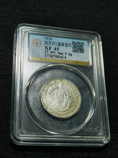 天下钱庄专场欢迎参拍 - 匈牙利圣母抱婴2潘果银币