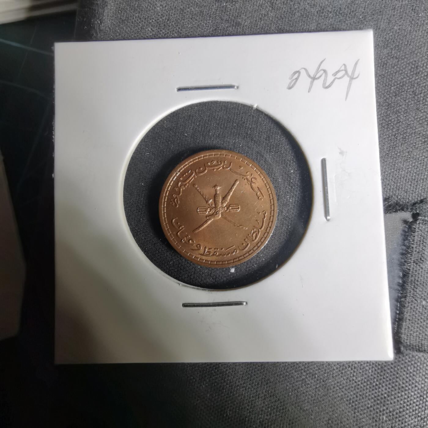 沼泽如烟--第1004场