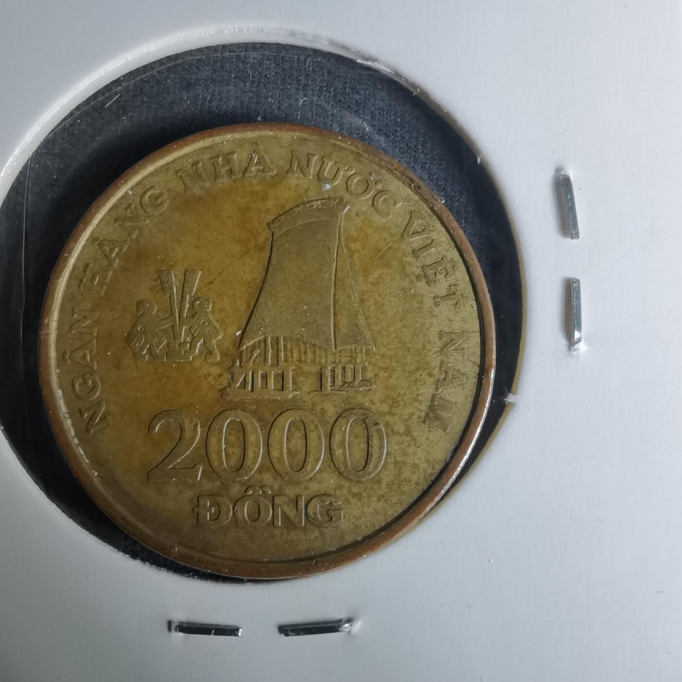 沼泽如烟--第1004场