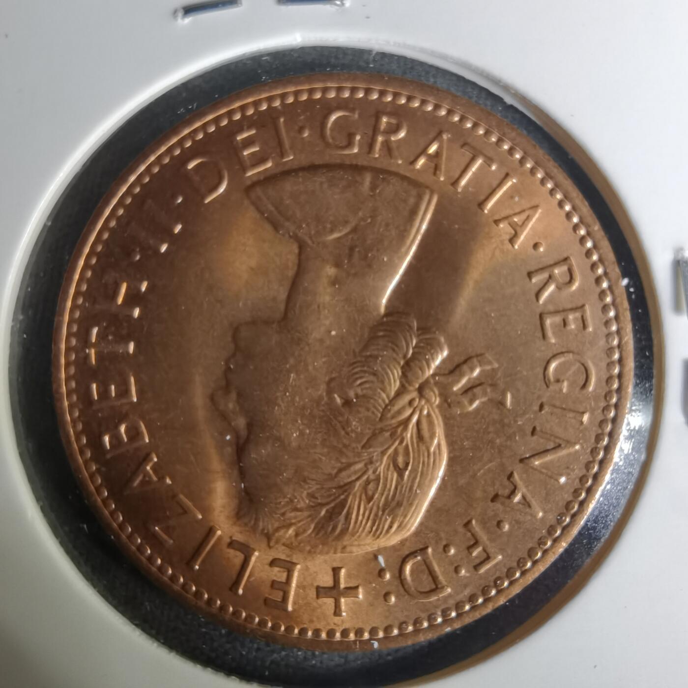 沼泽如烟--第1004场