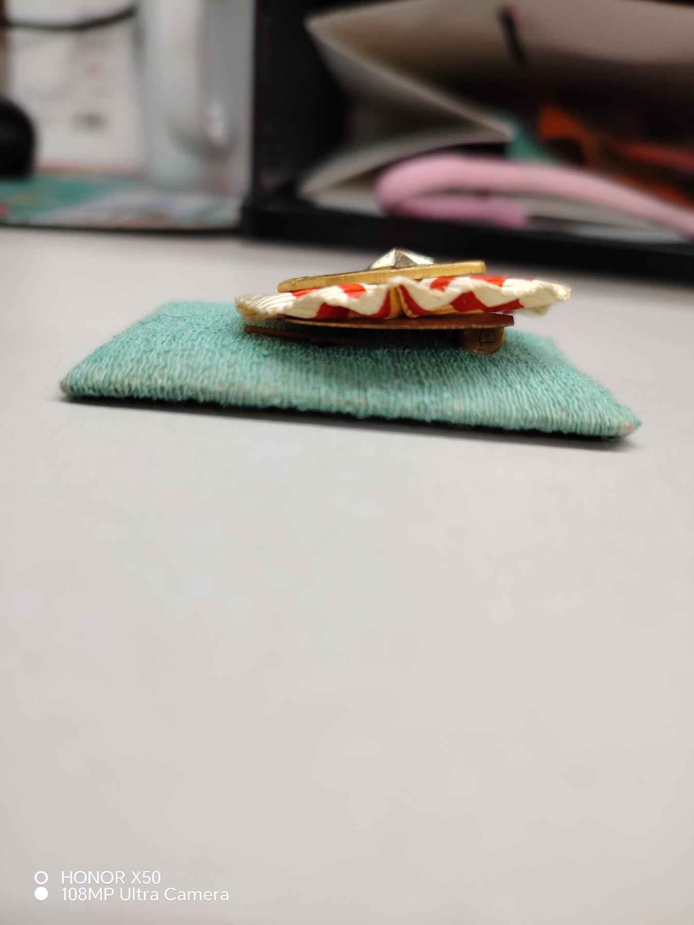 城南花开💐87场 在乡章