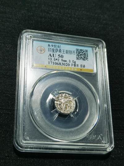 天下钱庄专场欢迎参拍 - 萨希王朝银币