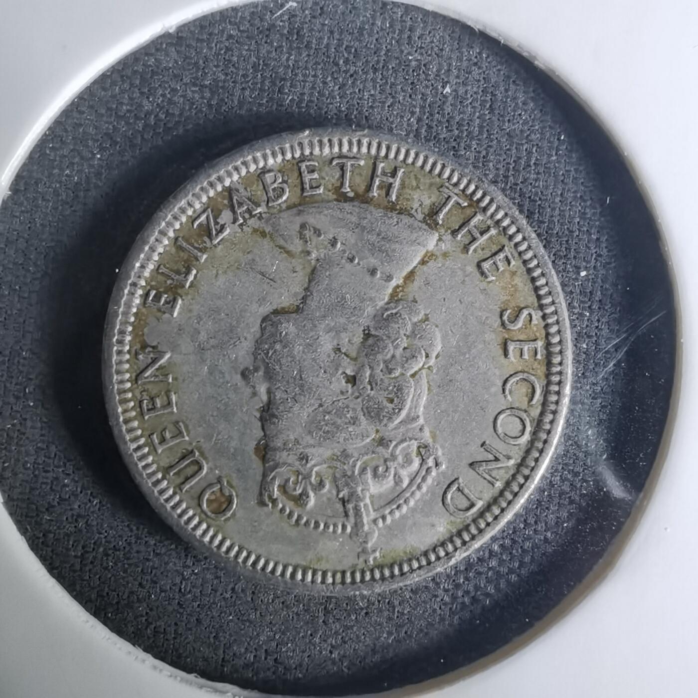 沼泽如烟--第1004场