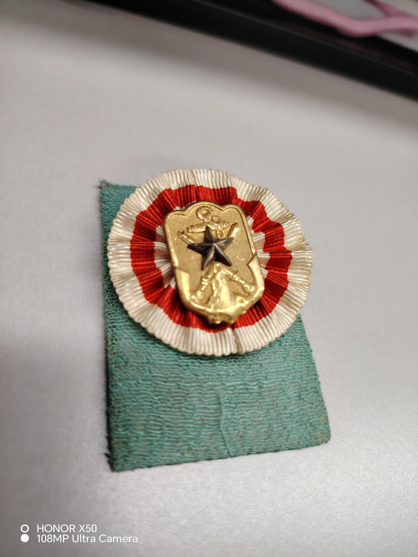 城南花开💐87场 在乡章