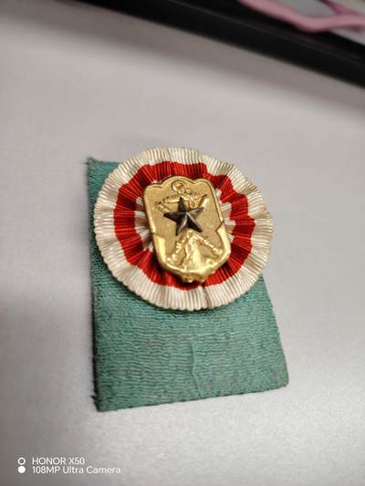 城南花开💐87场 - 在乡章