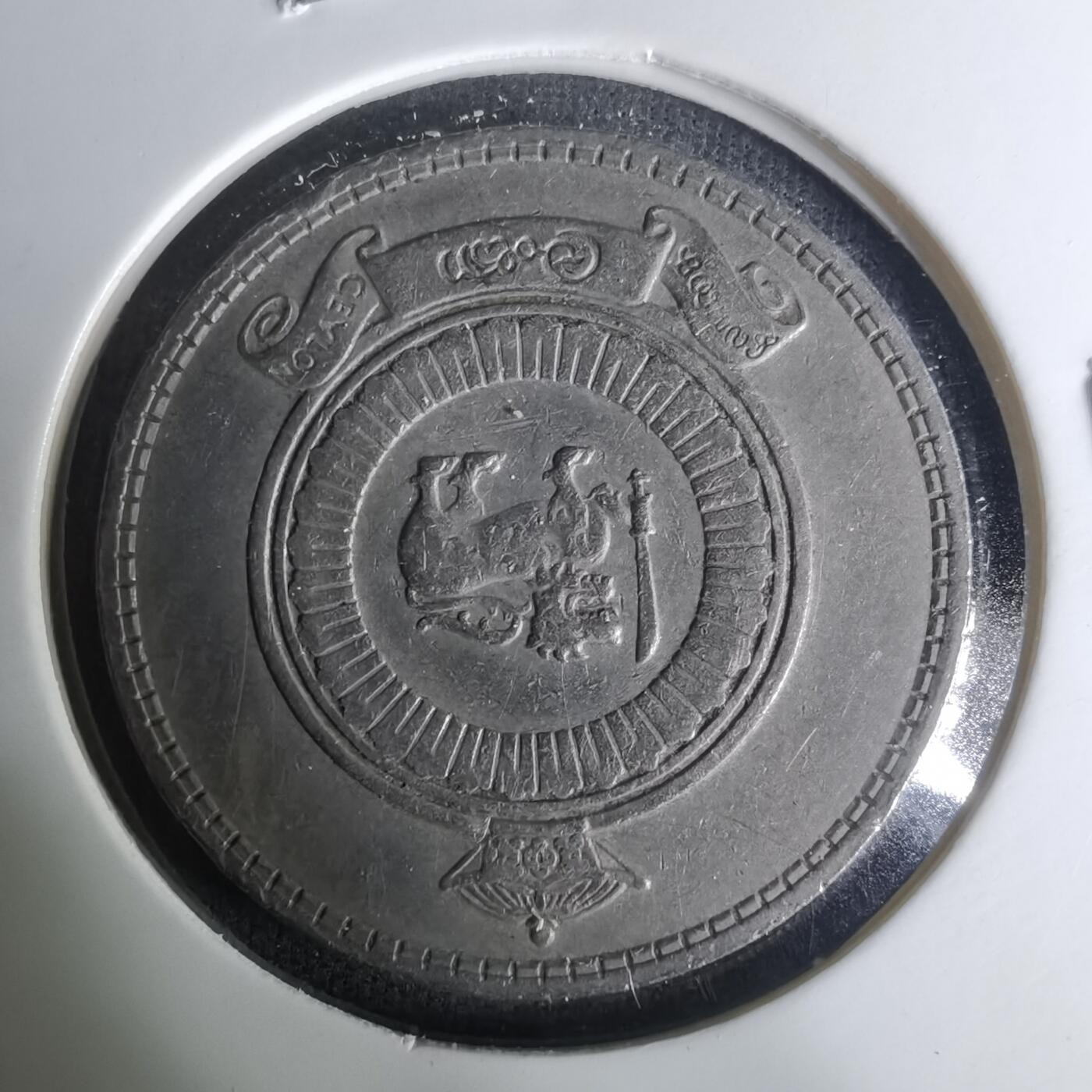 沼泽如烟--第1004场