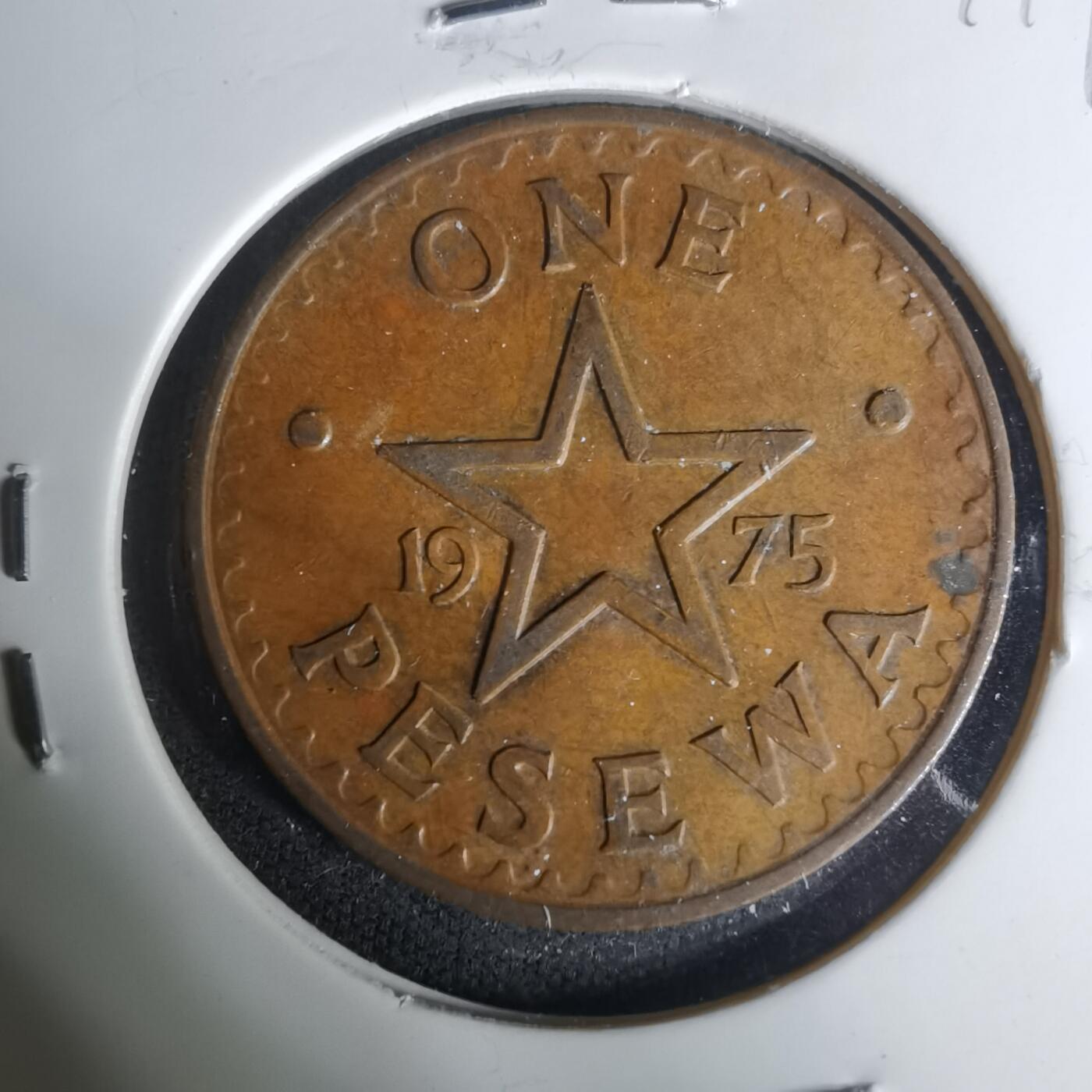 沼泽如烟--第1004场