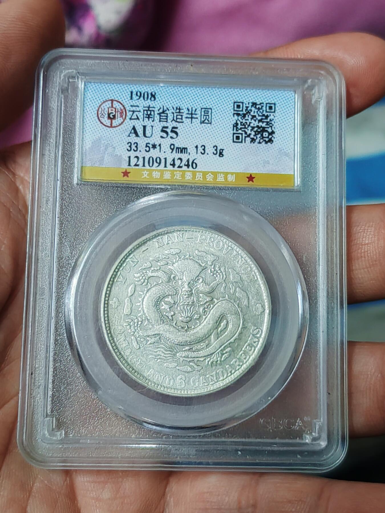 公博55云南半圆老龙大背逆