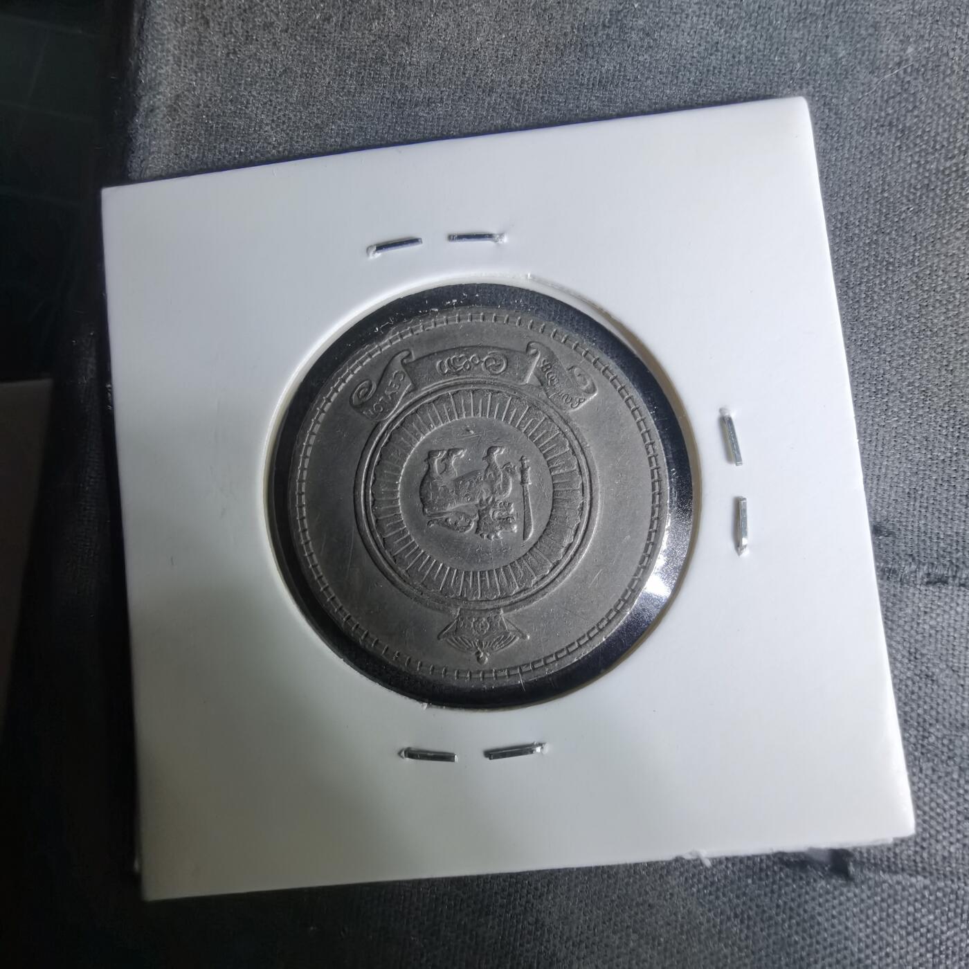 沼泽如烟--第1004场