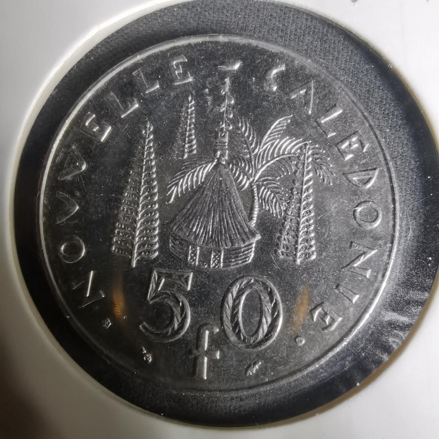 沼泽如烟--第1004场