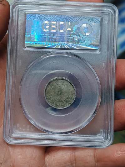 公博40云南困龙一角 公博40云南困龙一角