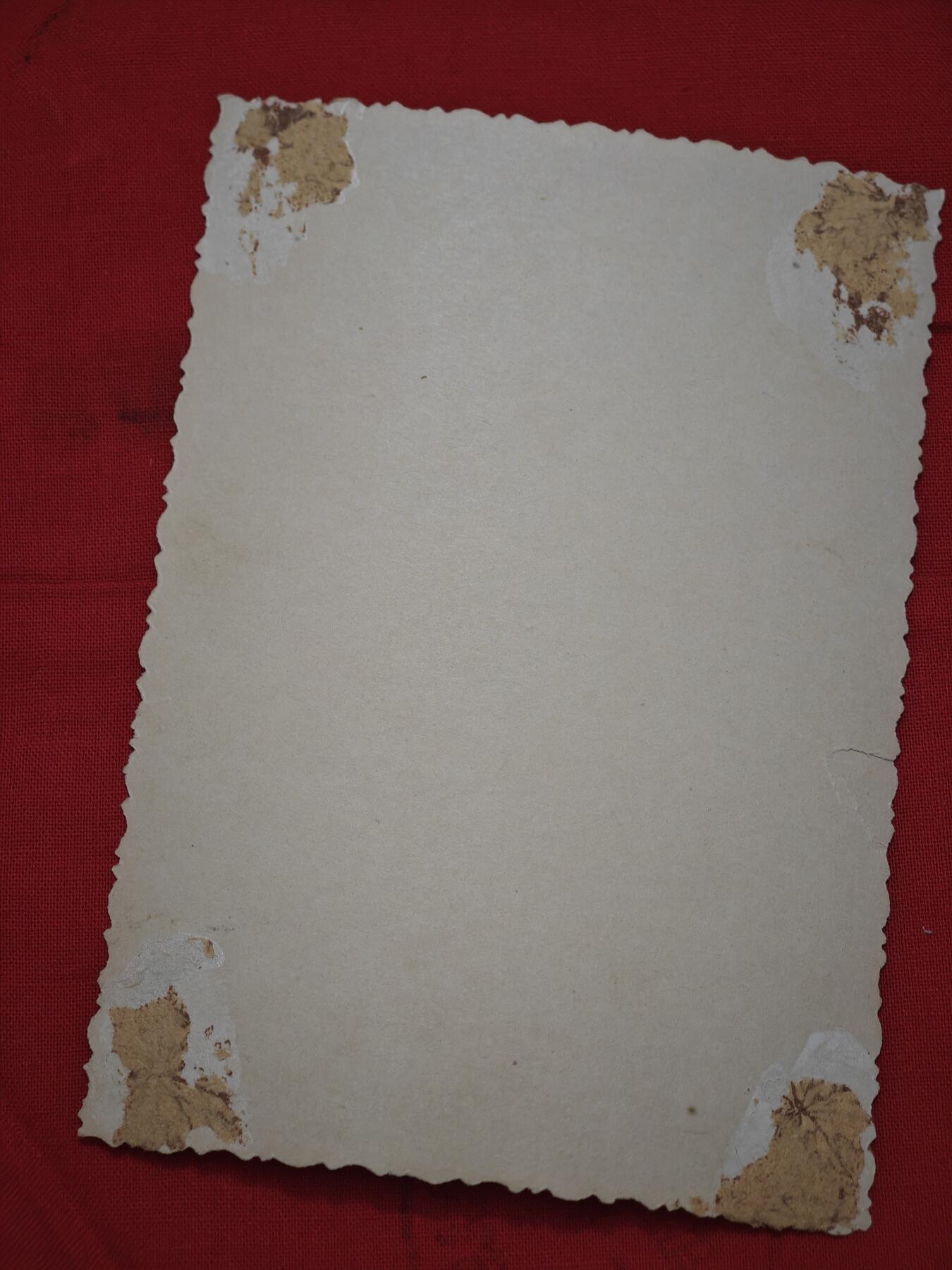 橙子收藏第四期