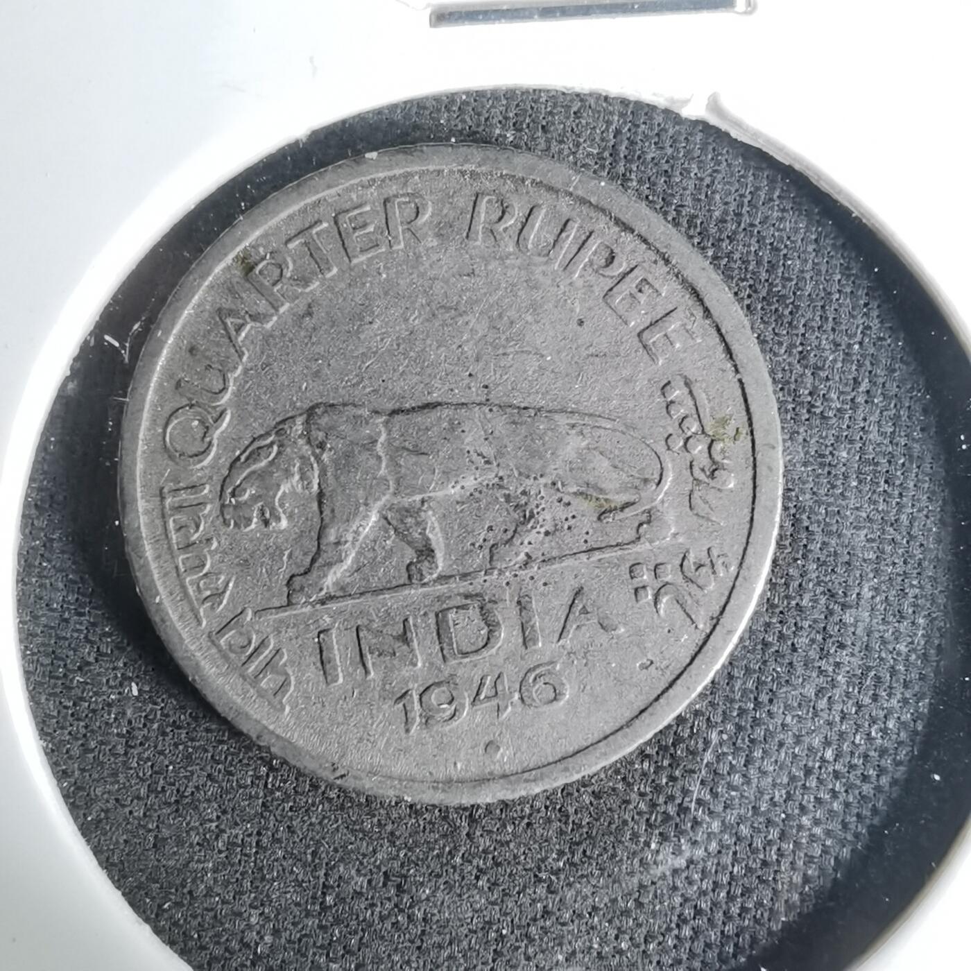 沼泽如烟--第1004场