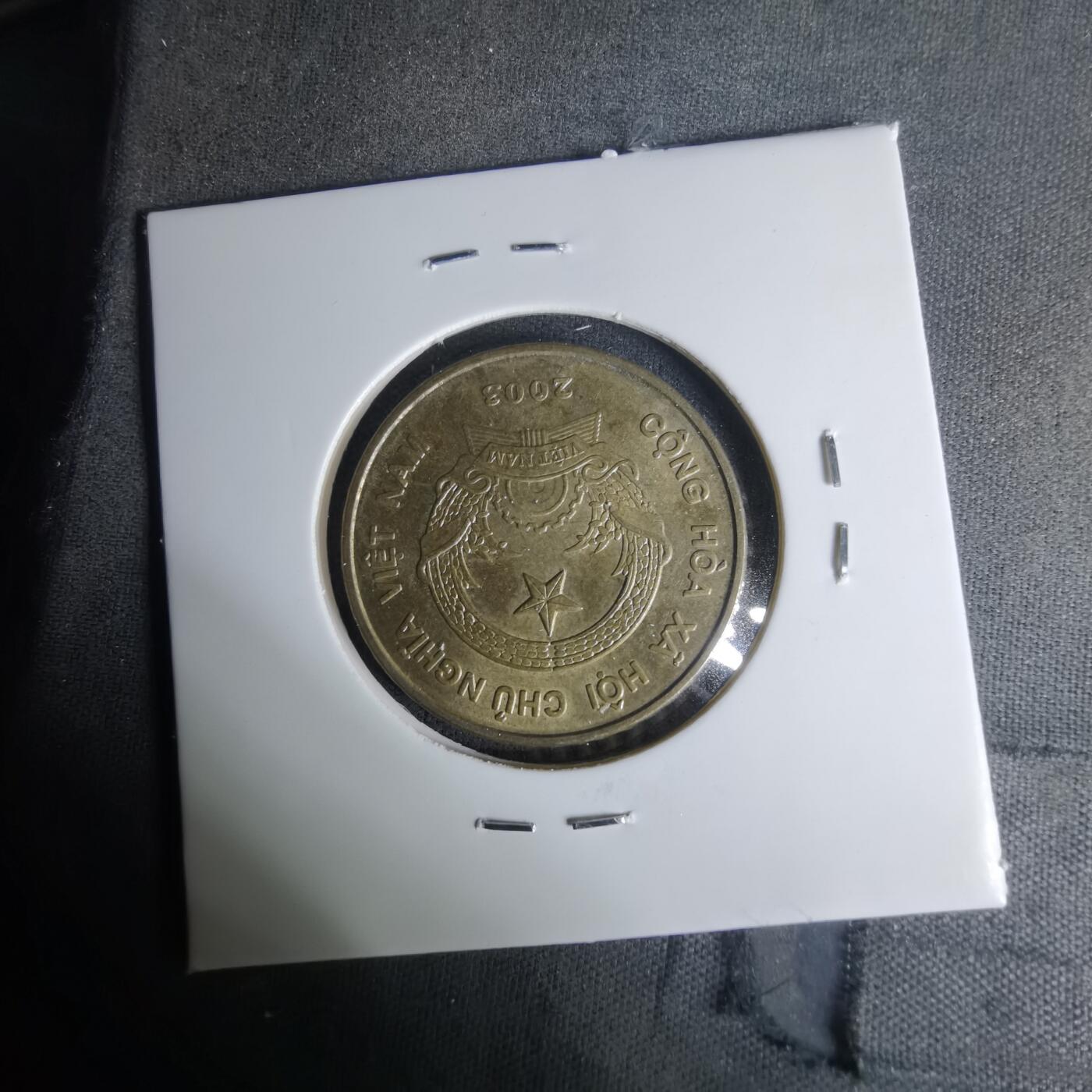 沼泽如烟--第1004场