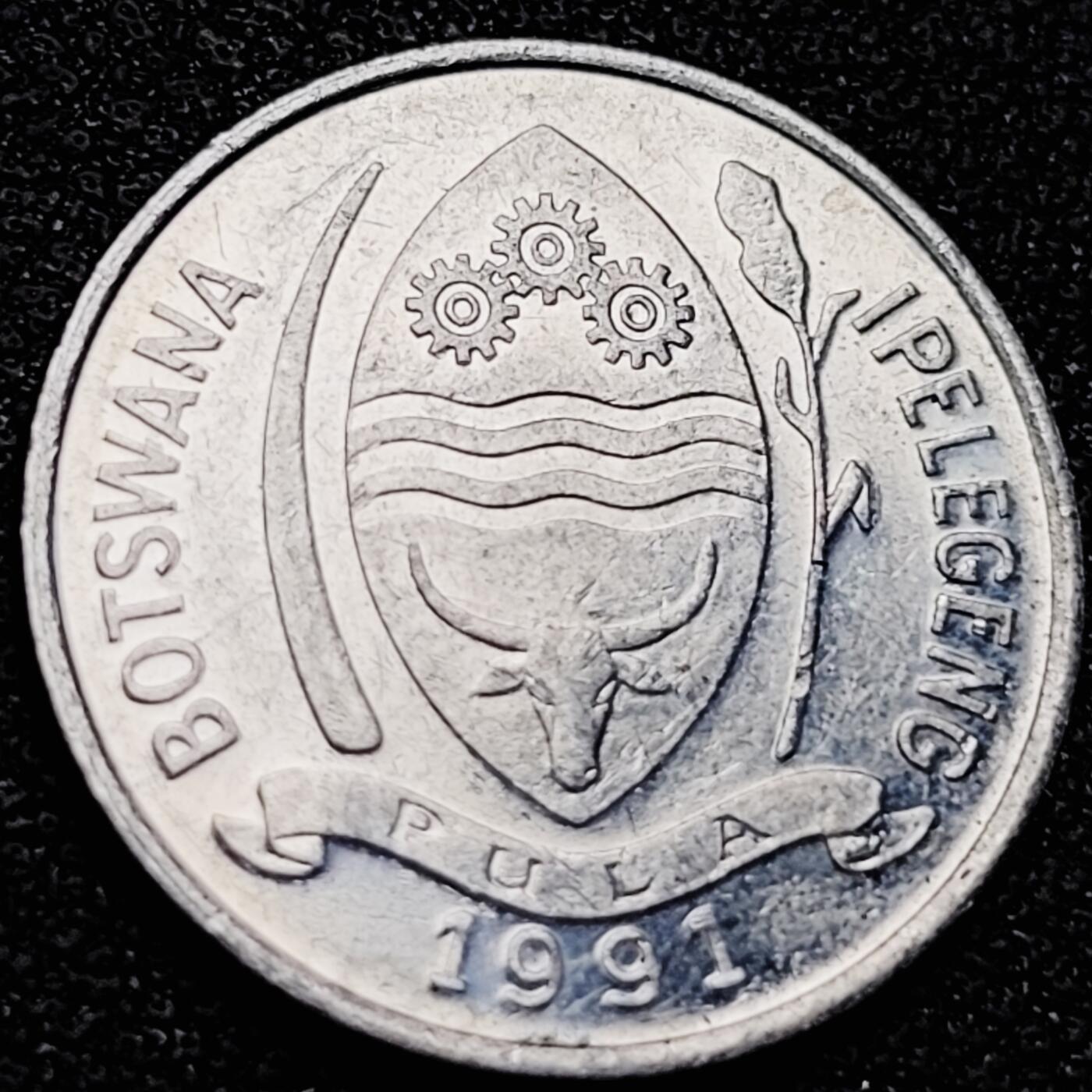 泉币菌-第200场- 新年快乐 新年第8场 本场拍品多 请提前出价（正月十五统一发货） 。