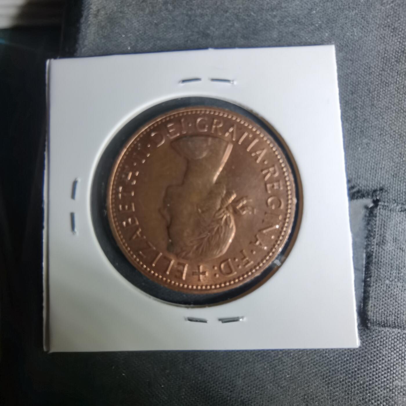 沼泽如烟--第1004场