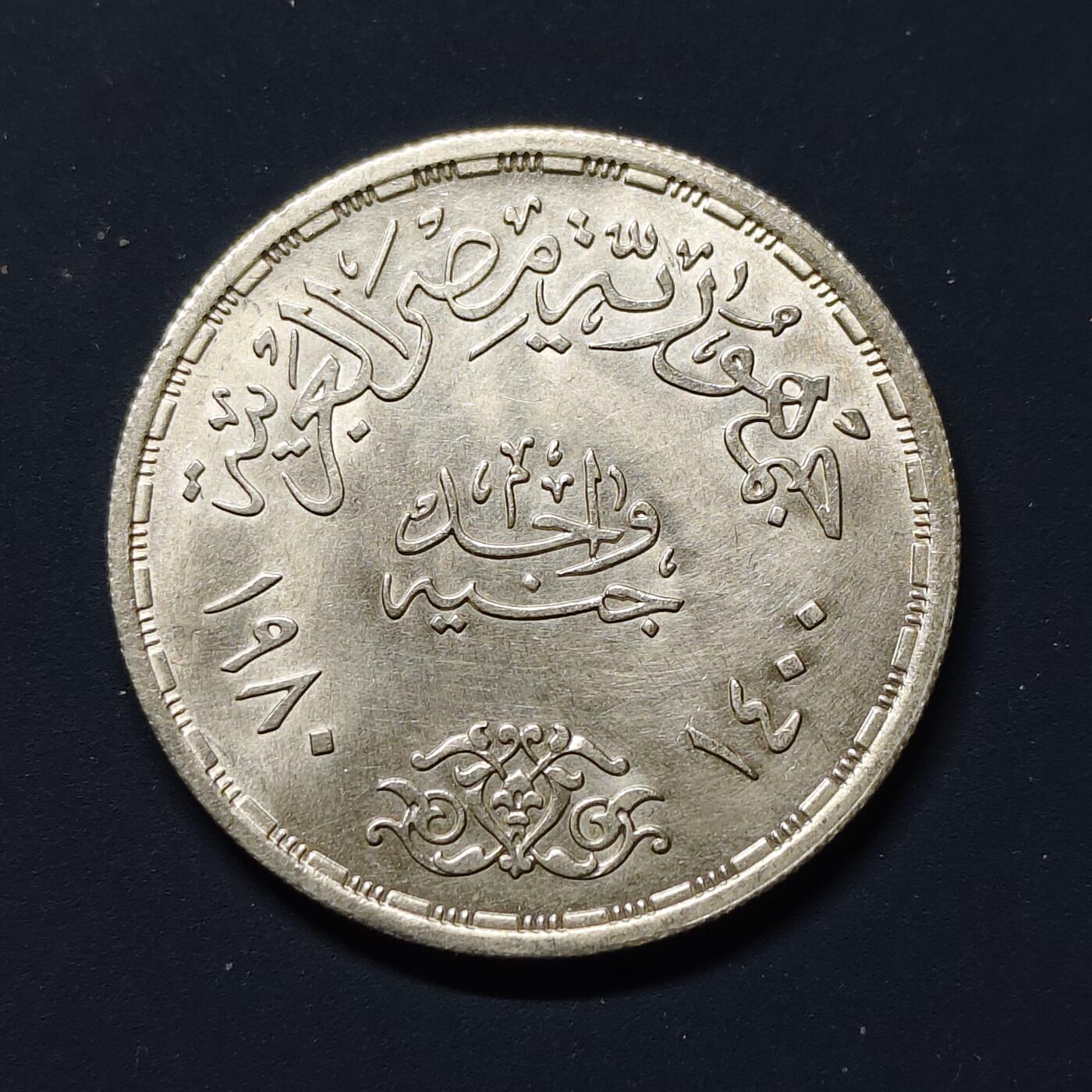 【全场包邮】纯粹捡漏拍507场-持续更新中