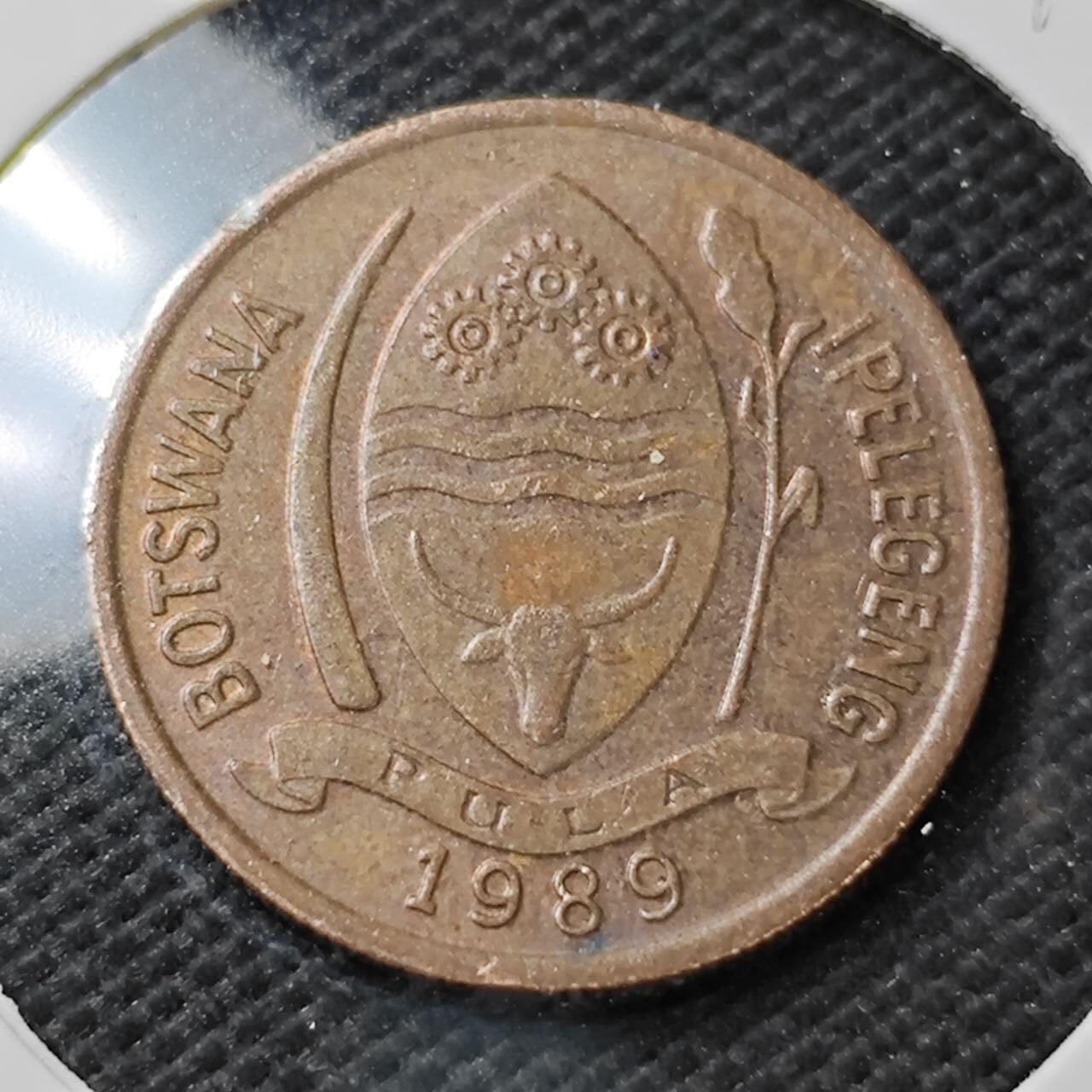 KK钱币收藏小铺  第396期  2月预留时间 周末发货  1989博茨瓦纳5分