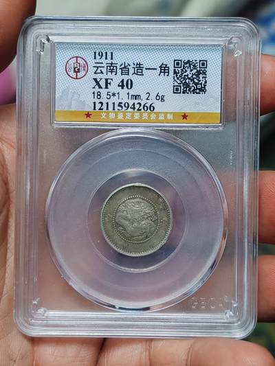 公博40云南困龙一角 - 公博40云南困龙一角