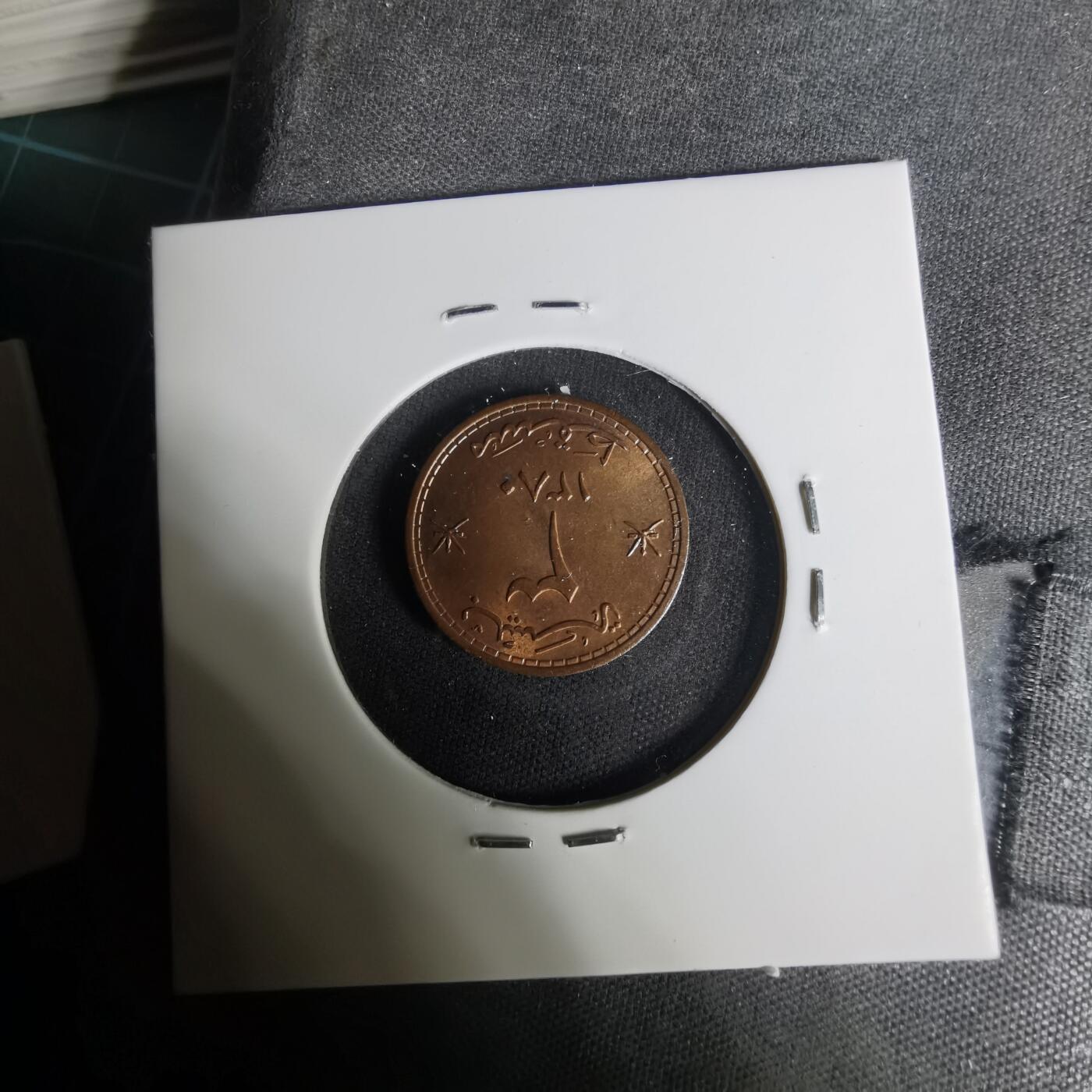 沼泽如烟--第1004场