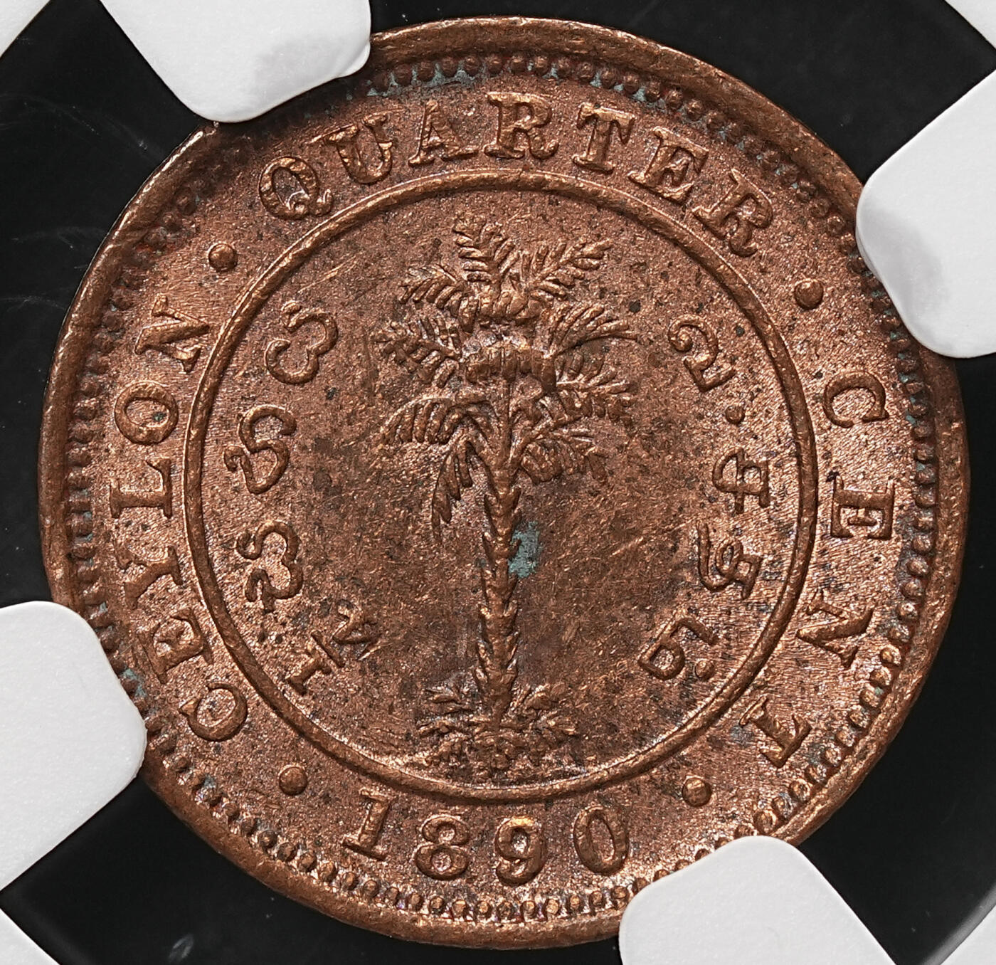 修遠堂世界钱币第106期，请看参拍说明 NGC MS63RB 1890年英属锡兰1/4分铜币