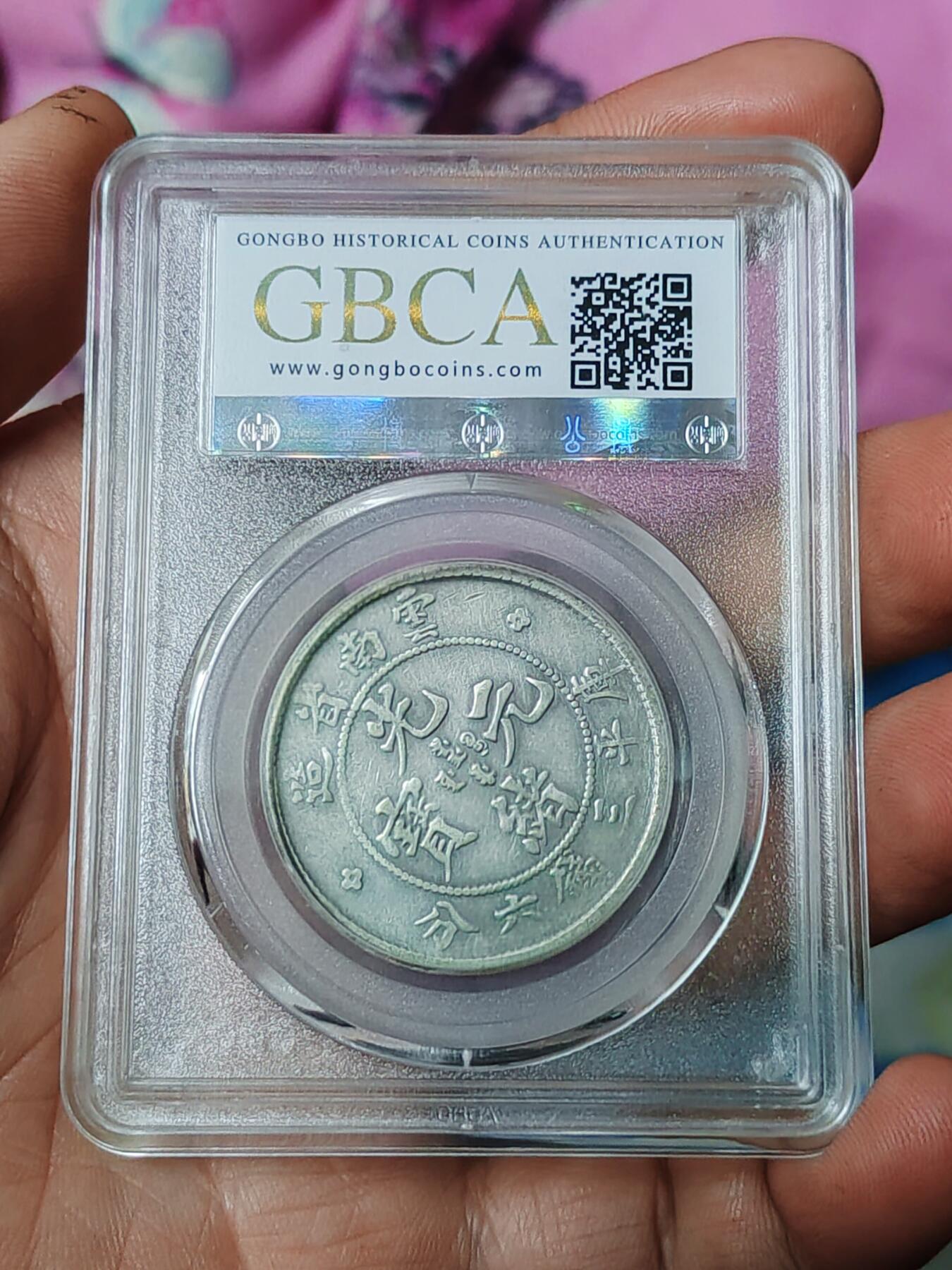 公博40云南半圆老龙大背逆