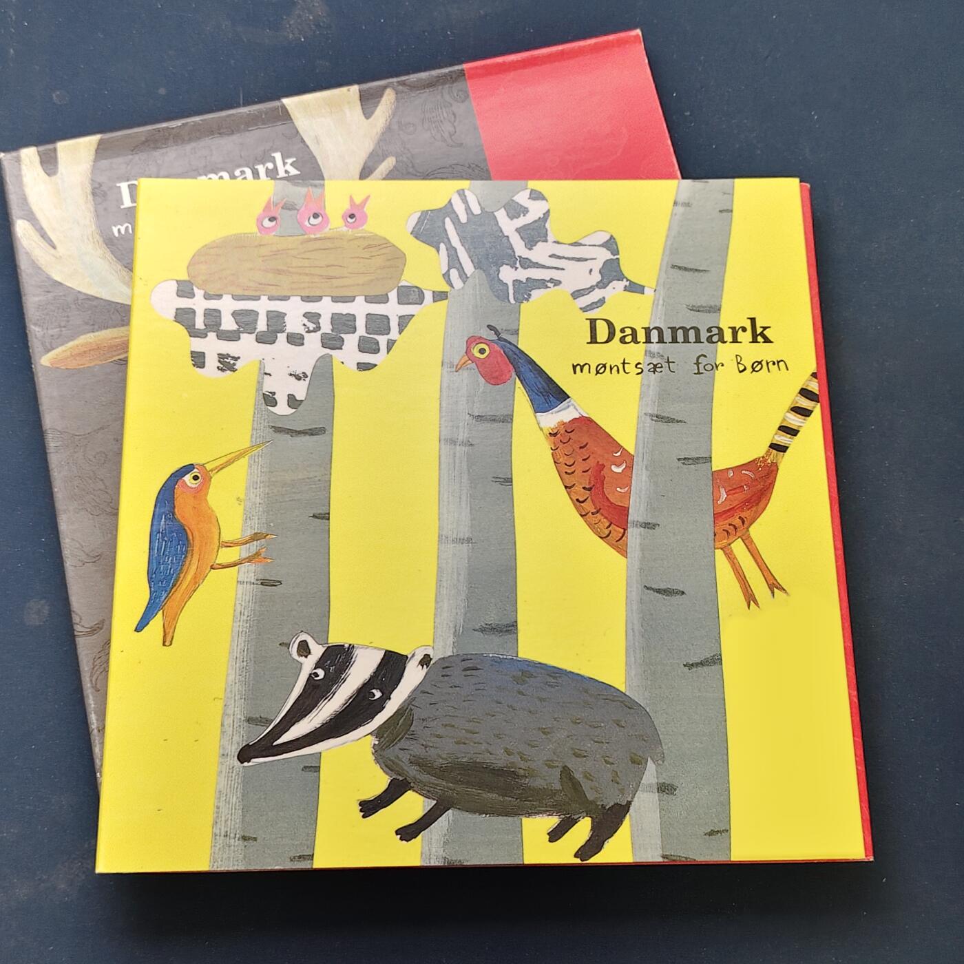 【全场包邮】纯粹捡漏拍506场-持续更新中 丹麦2006年新生诞生官方卡册装童趣套币-含童趣纪念章