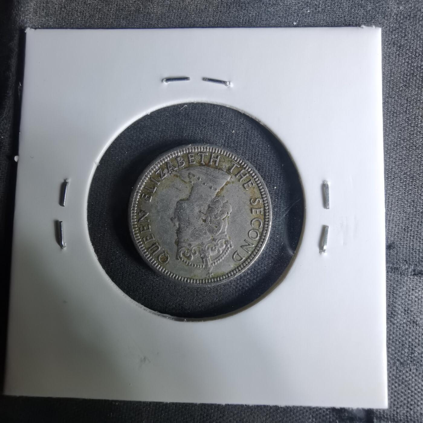 沼泽如烟--第1004场