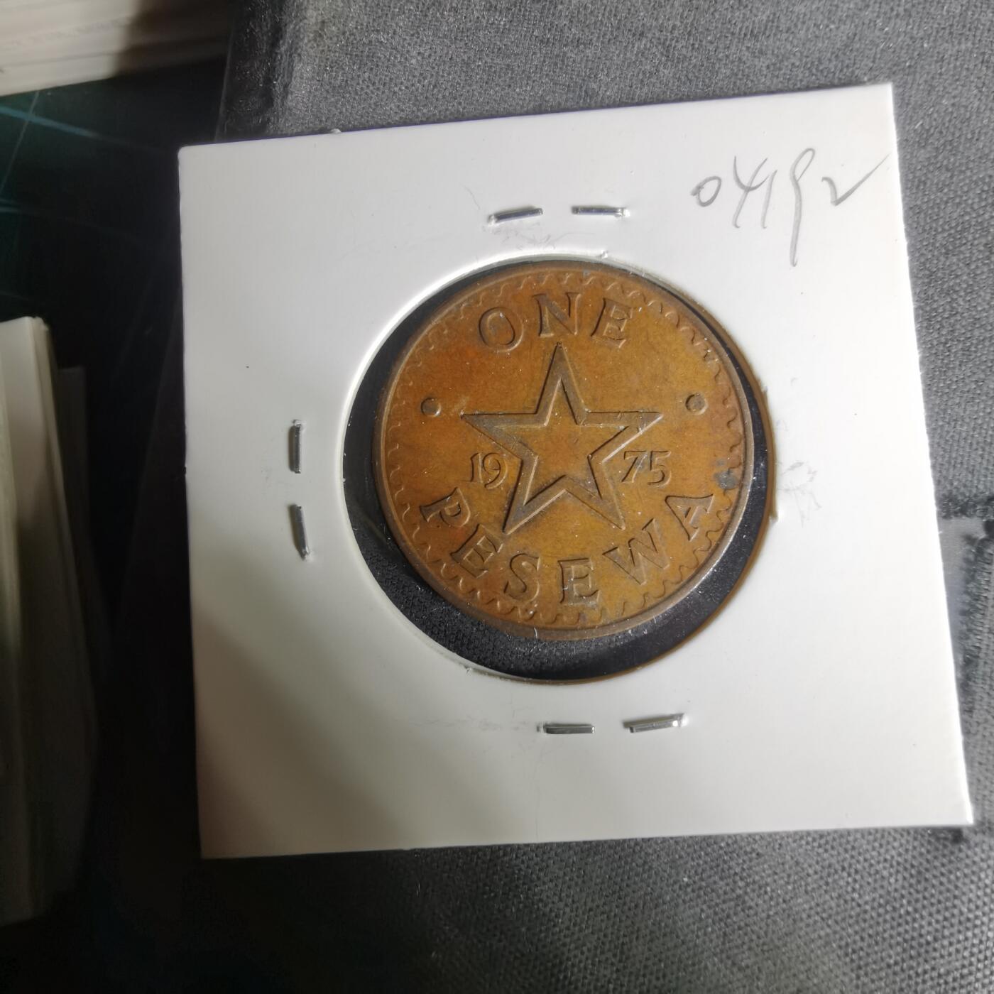 沼泽如烟--第1004场