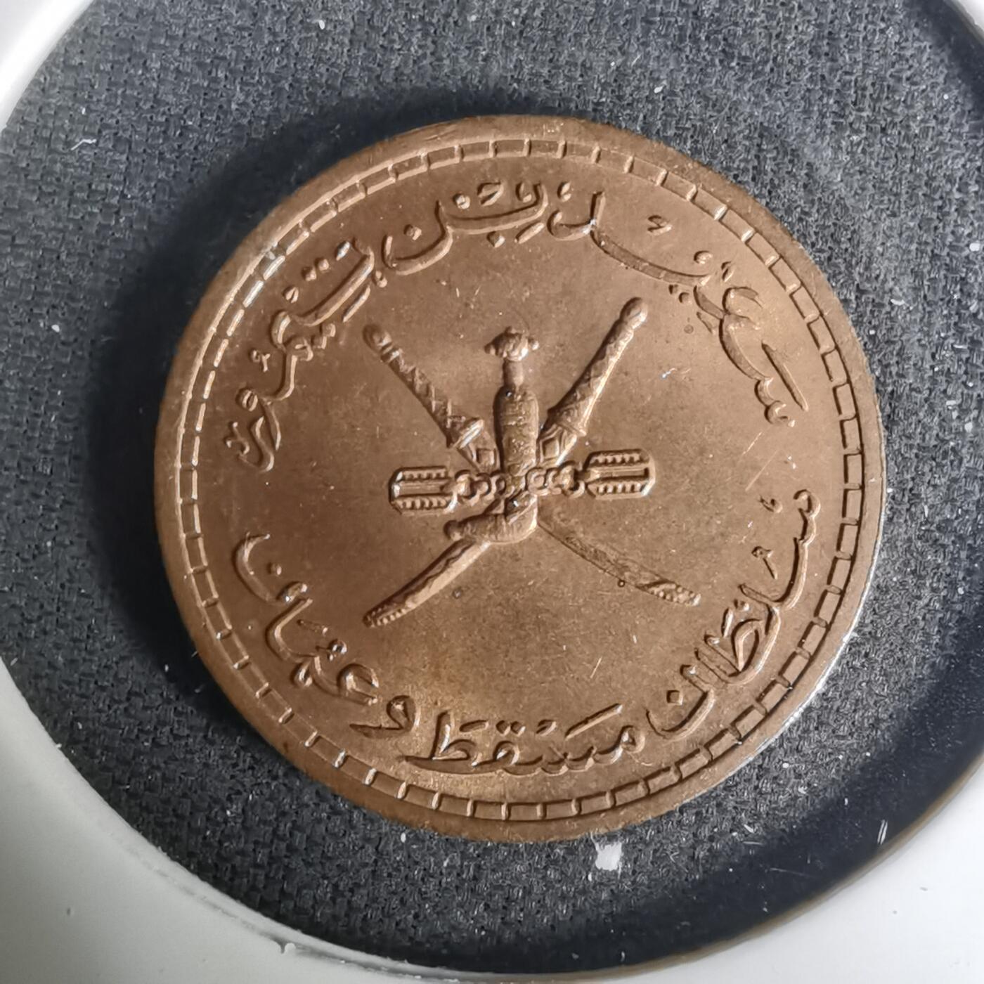 沼泽如烟--第1004场