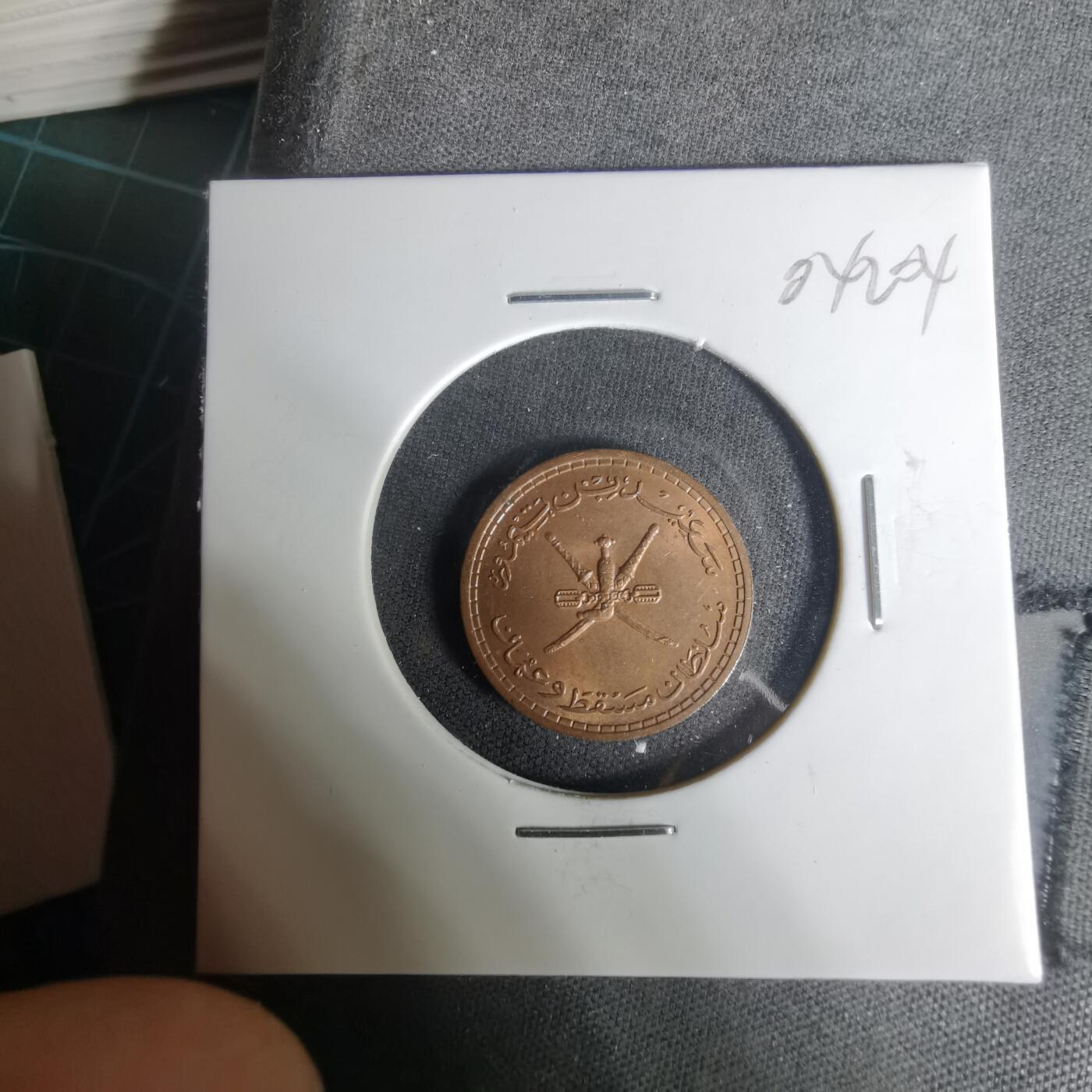 沼泽如烟--第1004场