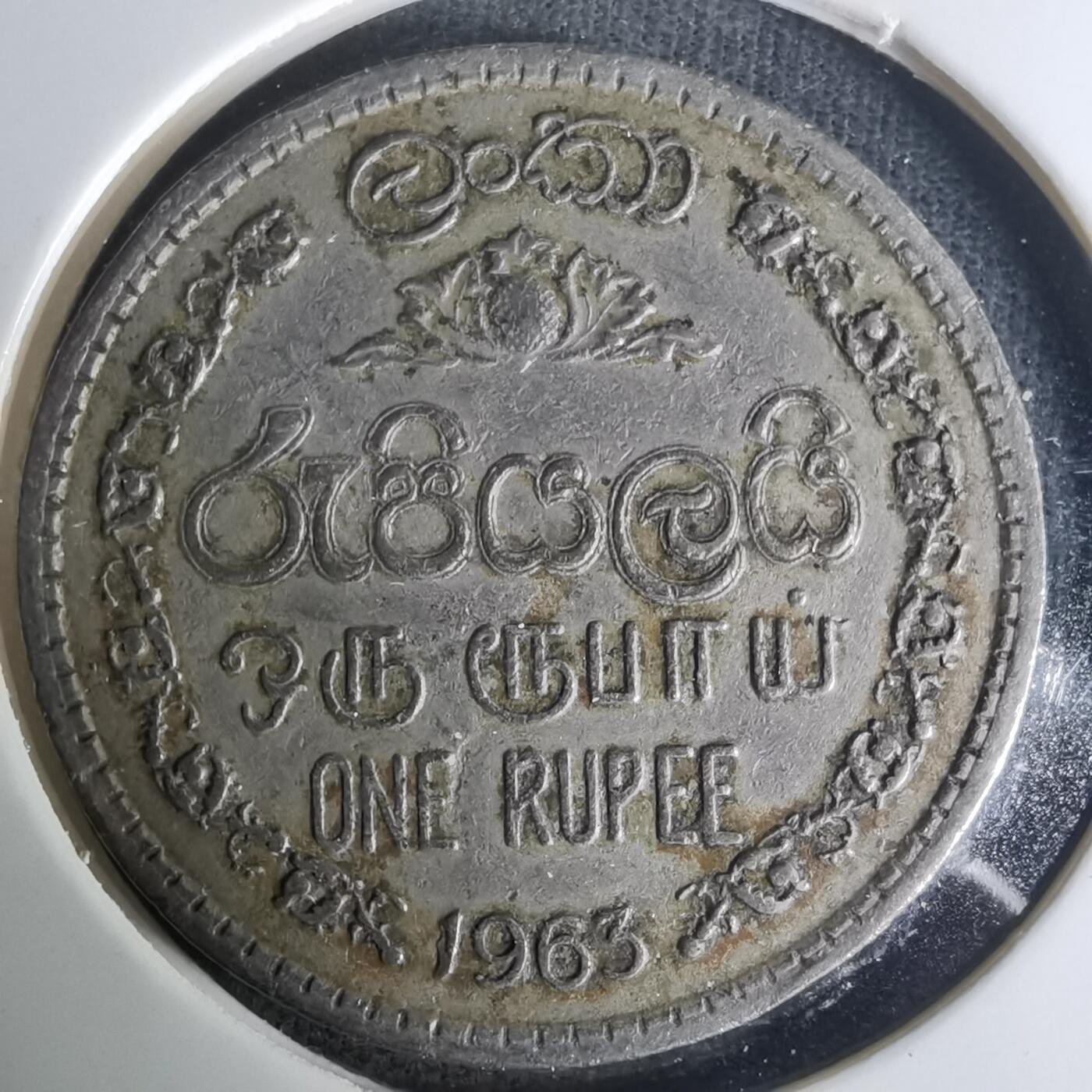 沼泽如烟--第1004场