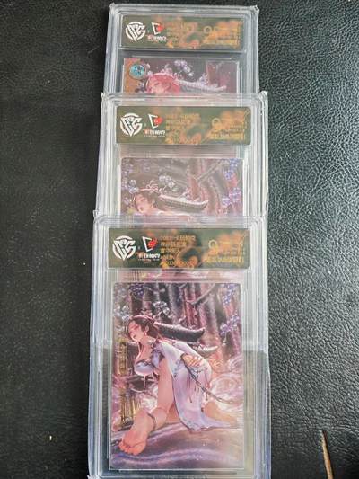 阳大大卡牌拍卖第102期（持续收拍品，周六晚上九点截拍，进群福利早知道） - 【9分】卡玩帕克 神州百花谱 宣华夫人 041