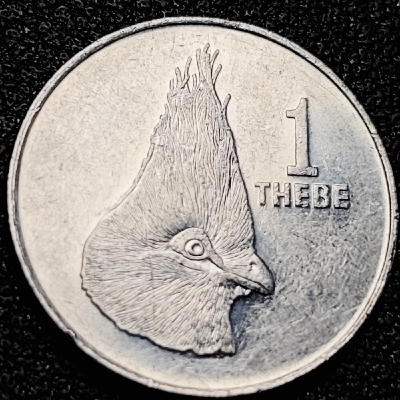 泉币菌-第200场- 新年快乐 新年第8场 本场拍品多 请提前出价（正月十五统一发货） 。