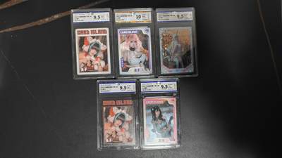 玉楼春卡牌第三期（开年小场，送拍零佣金，持续收拍） - 2025 卡岛限定明星卡 第二弹 5张 