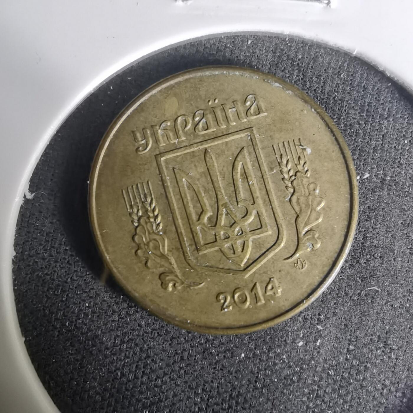 沼泽如烟--第1004场